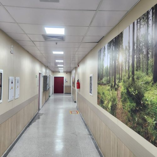 Hospital do Subúrbio