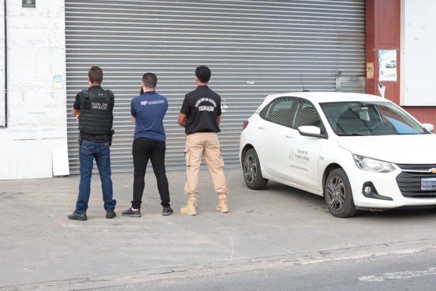 Equipe da força-tarefa em ação durante a operação Ágora